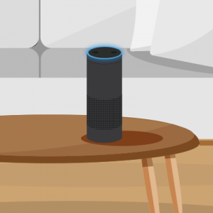 Amazon Echo - IoT Device