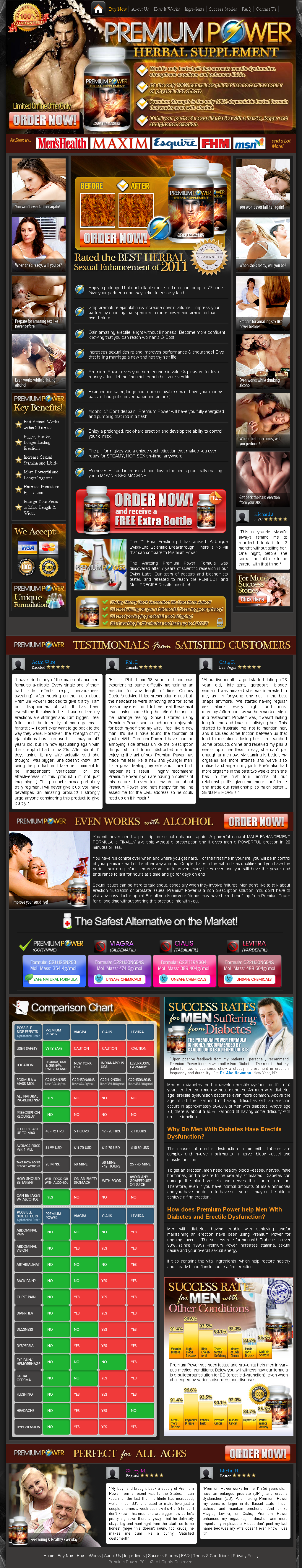 File:PremiumPower 2011-01.png